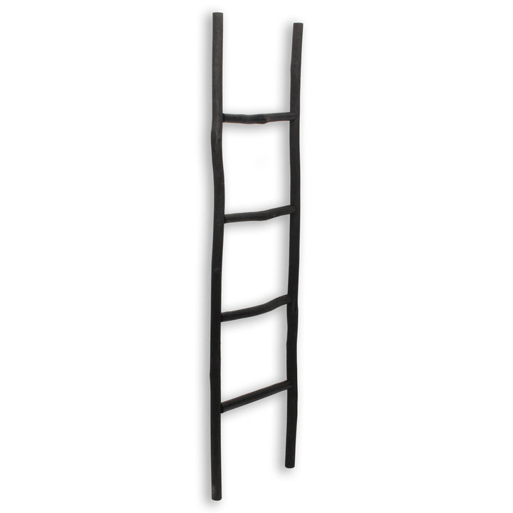 5310 - Theron Wood Décor Ladder