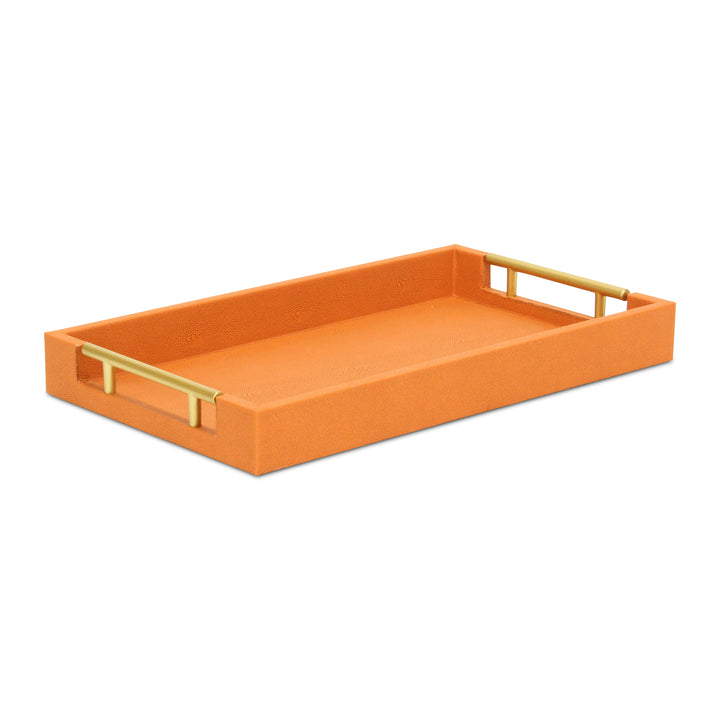 5823 - Lusan Vinyl Tray