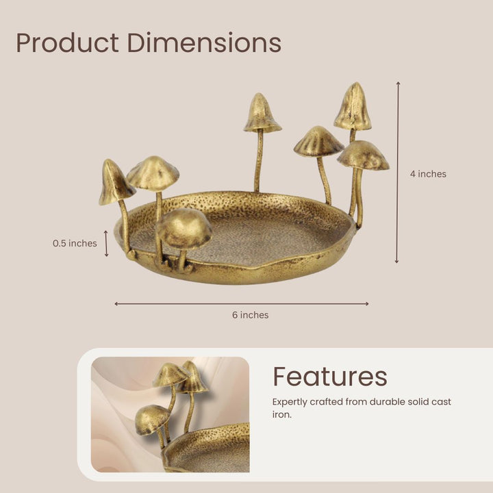 5918GD - Qinrie Mushroom Dish