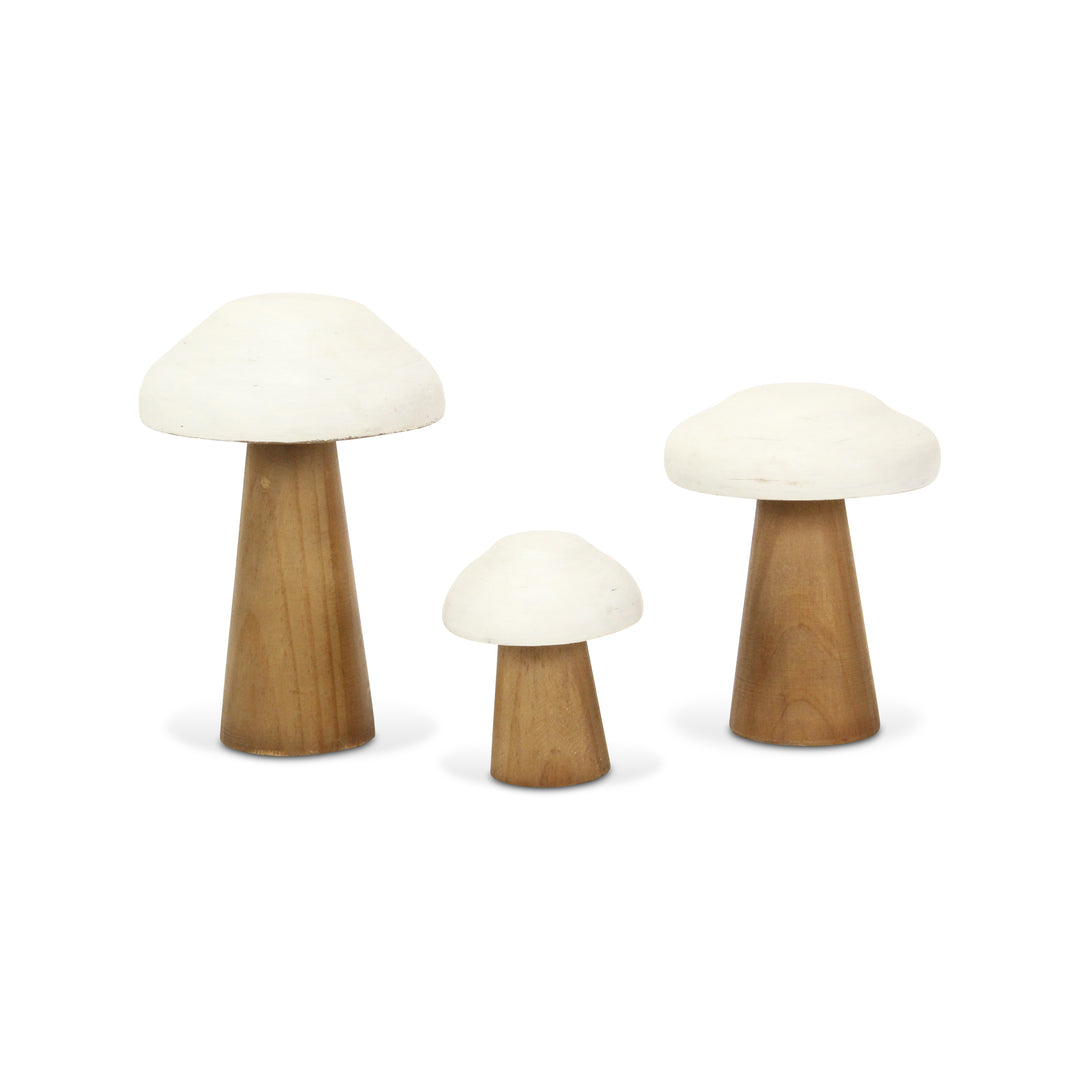 6005 - Hareton Forest Mushroom