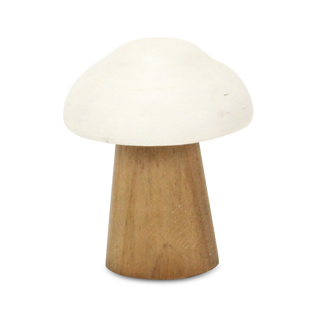 6005 - Hareton Forest Mushroom