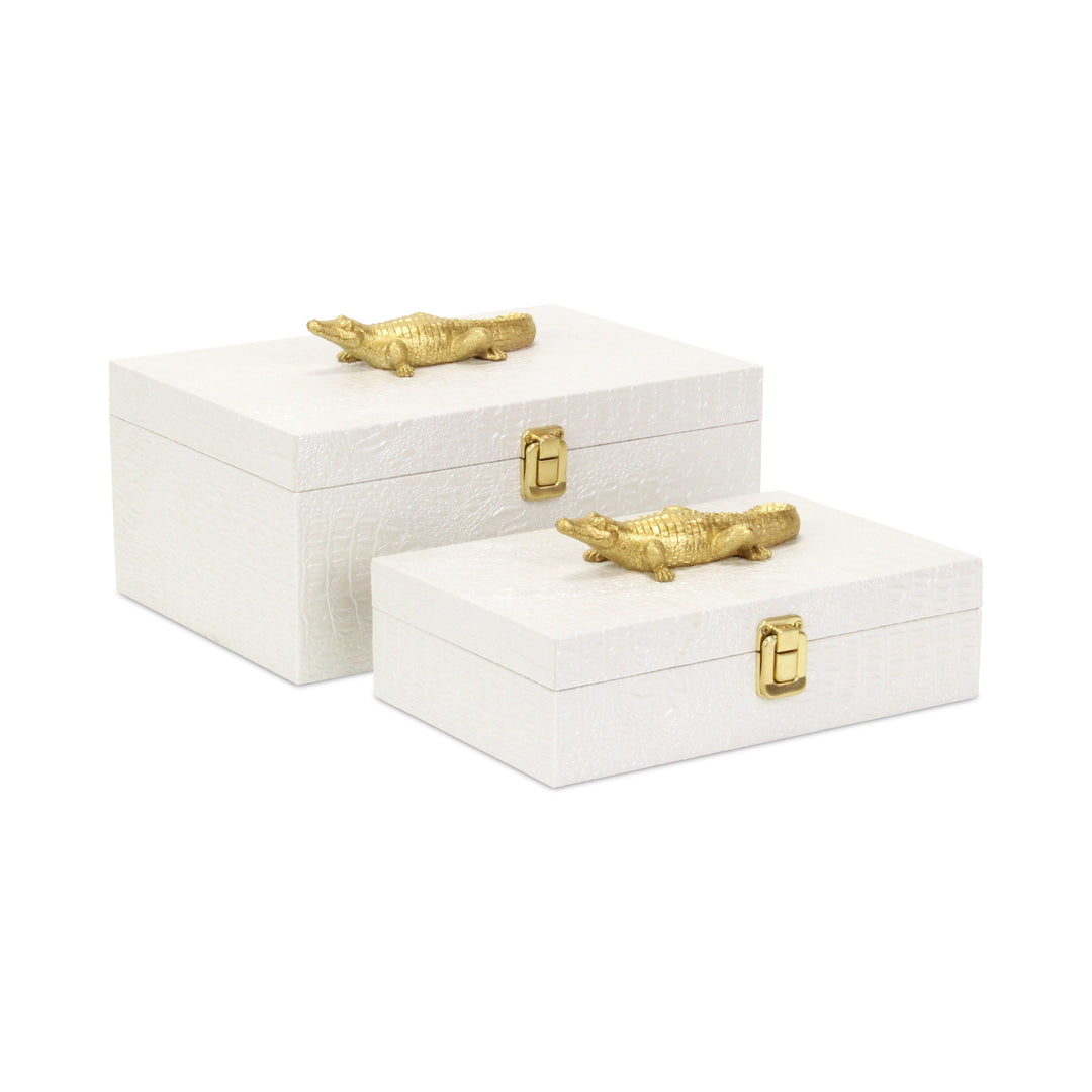 6061-2 - Canorus Faux Croco Box Set