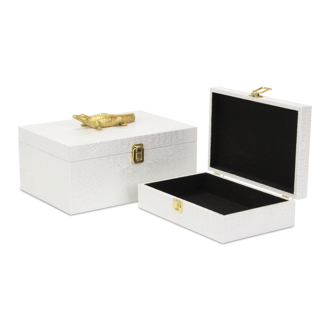 6061-2 - Canorus Faux Croco Box Set