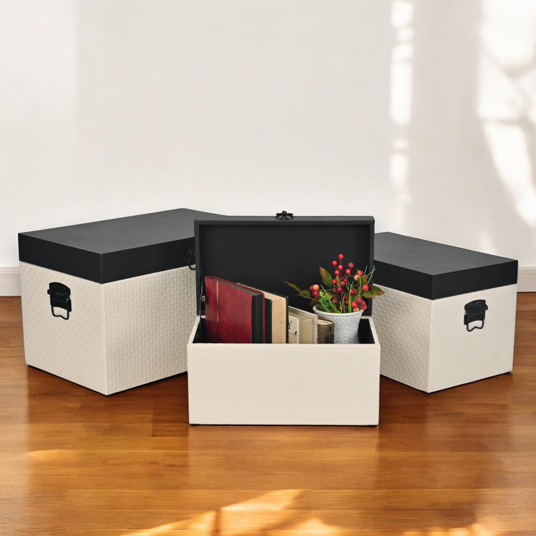 6144-3 - Ellaran Set of 3 Shagreen & Wicker Trunks