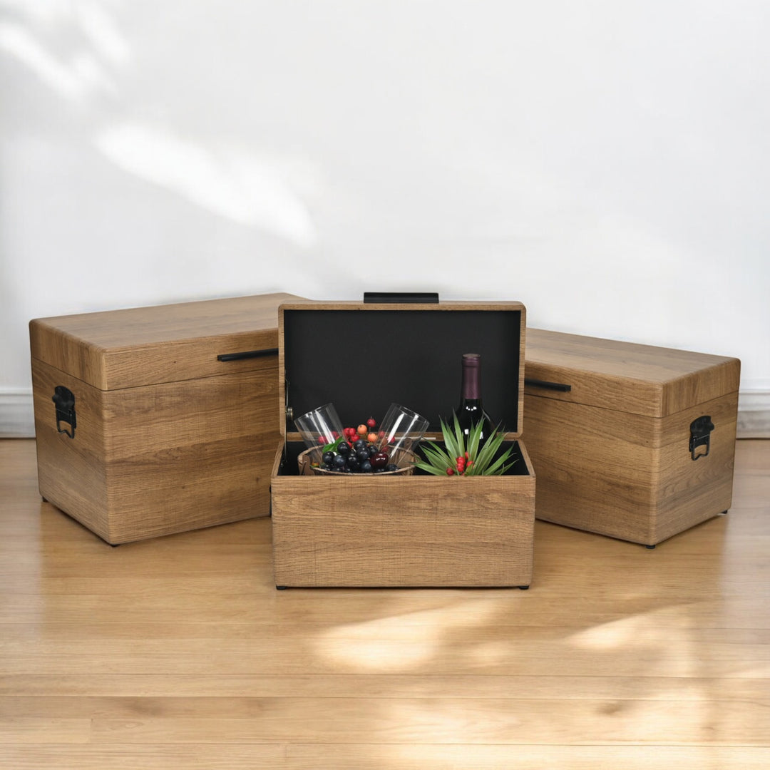 6145-3BR - Sable Set of 3 Trunks - Brown