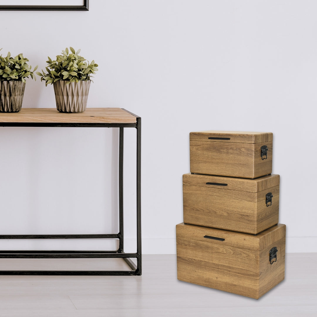 6145-3BR - Sable Set of 3 Trunks - Brown