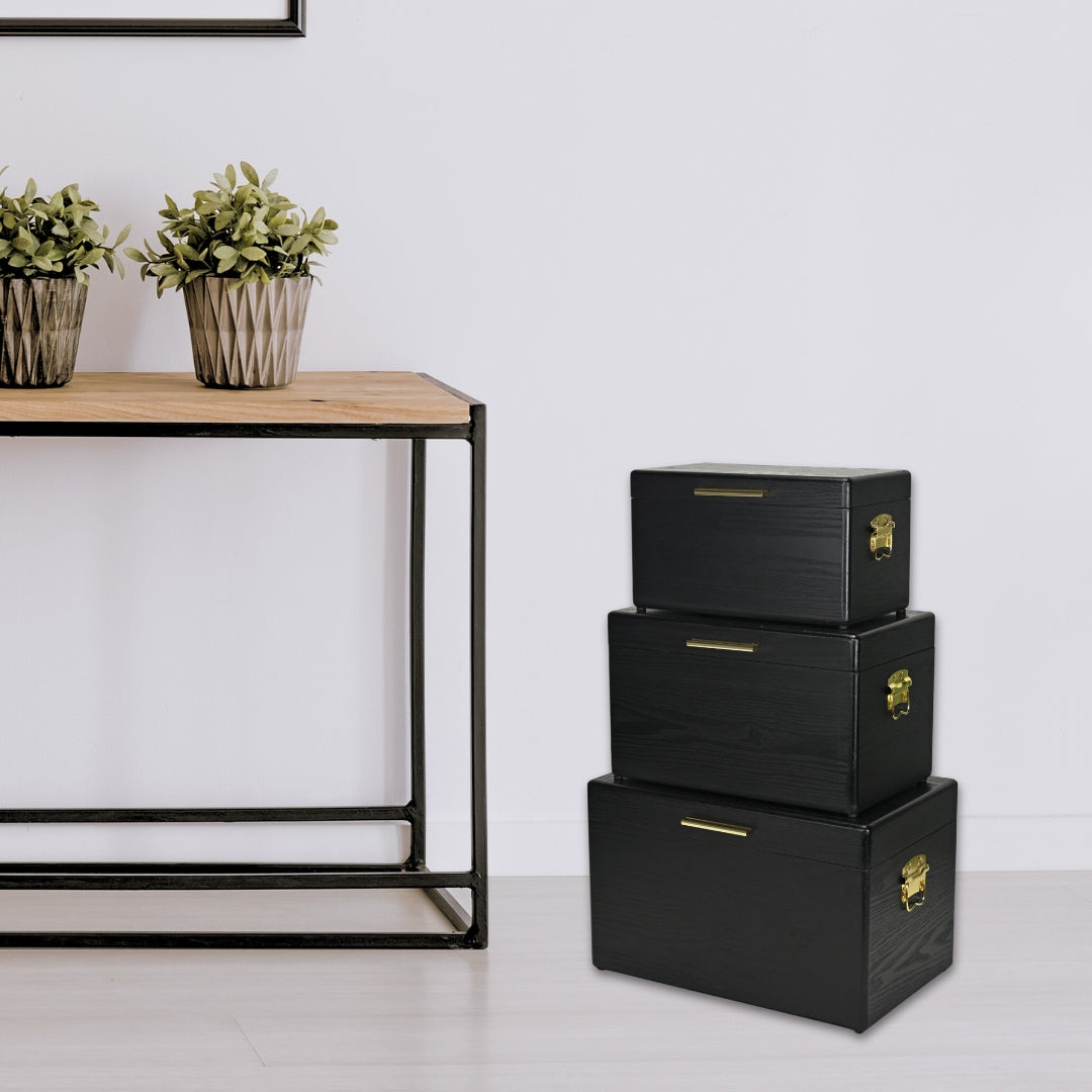 6146-3 - Sable Set of 3 Trunks