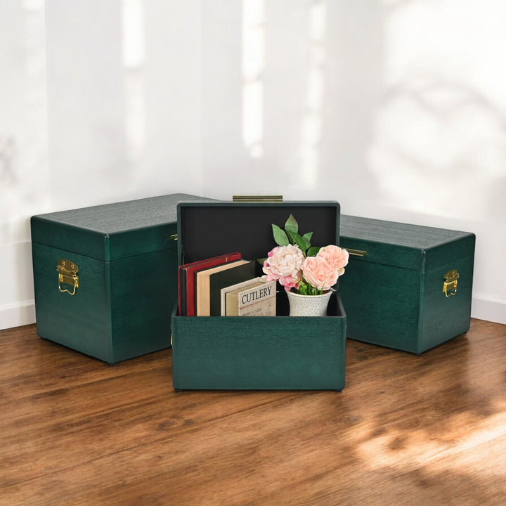 6146-3 - Sable Set of 3 Trunks