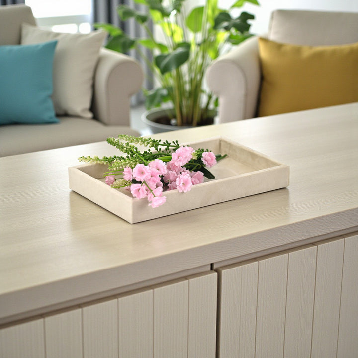 6256 - Cantora Paper Board Tray