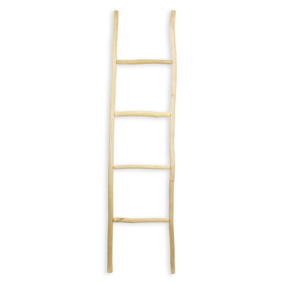 5310 - Theron Wood Décor Ladder