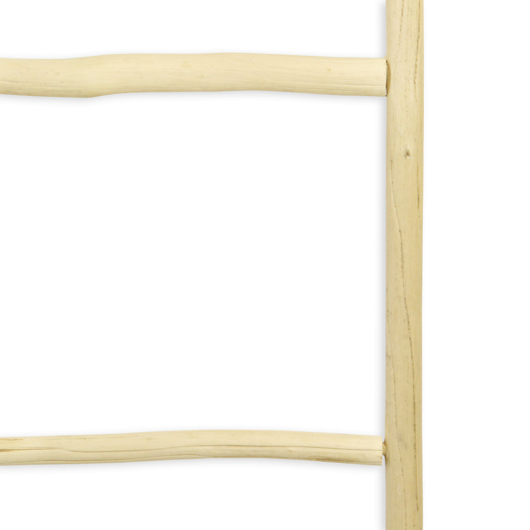 5310 - Theron Wood Décor Ladder